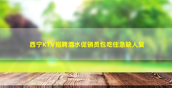 西宁KTV招聘酒水促销员包吃住急缺人复
